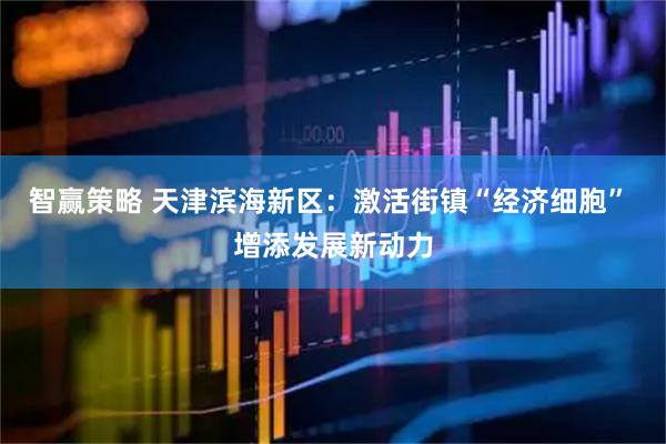 智赢策略 天津滨海新区：激活街镇“经济细胞” 增添发展新动力