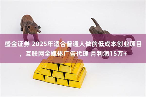 盛金证券 2025年适合普通人做的低成本创业项目，互联网全媒体广告代理 月利润15万+
