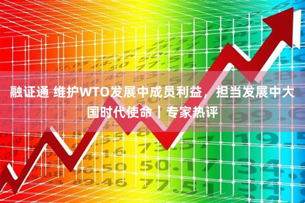 融证通 维护WTO发展中成员利益，担当发展中大国时代使命｜专家热评