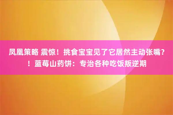 凤凰策略 震惊！挑食宝宝见了它居然主动张嘴？！蓝莓山药饼：专治各种吃饭叛逆期