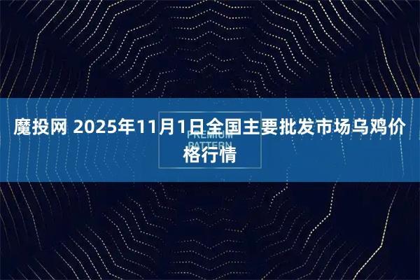 魔投网 2025年11月1日全国主要批发市场乌鸡价格行情