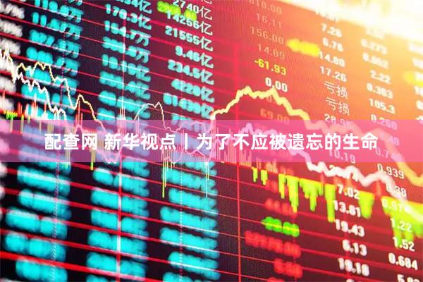 配查网 新华视点丨为了不应被遗忘的生命