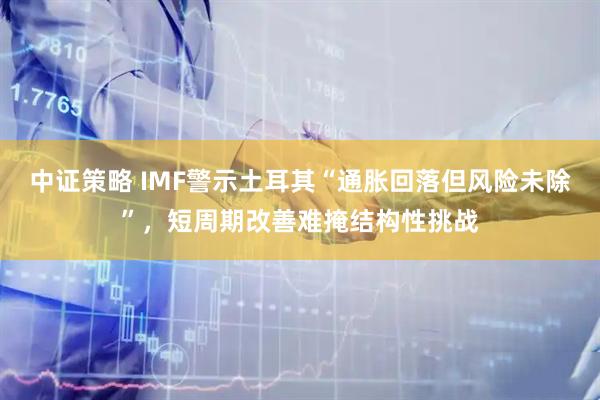 中证策略 IMF警示土耳其“通胀回落但风险未除”，短周期改善难掩结构性挑战