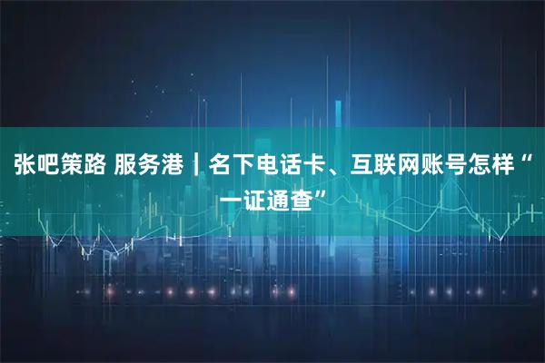 张吧策路 服务港｜名下电话卡、互联网账号怎样“一证通查”